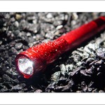 .: MagLite :.