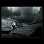 Letět či neletět ?