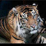 Kdo mně to ruší ?