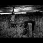 Když umírá hřbitov II