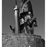 V kořenech světla ryby