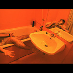 *>Red Adventure<*<br>!inextinguishable infarct!