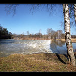 předjaří