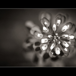 <strong>.: taková jarní... :.</strong>