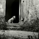 ...tak tudy to nepůjde...