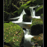 Mokrá krása Šumavská