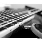 = My mandolin II. =