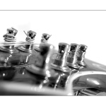 = My Mandolin III. =