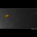 = Jedna z mnoha ... =