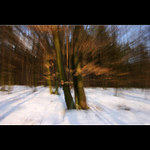 Indraft