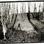 <b>jarní AUTOPORTRéT vol#2 </b>