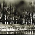 <b> . . . . . . . . . . </b>