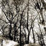 <b> . . . . . . . . .</b>