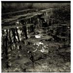 <b> . . . . . . . . . . </b>