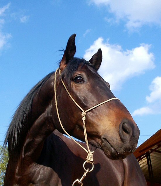 Jordán