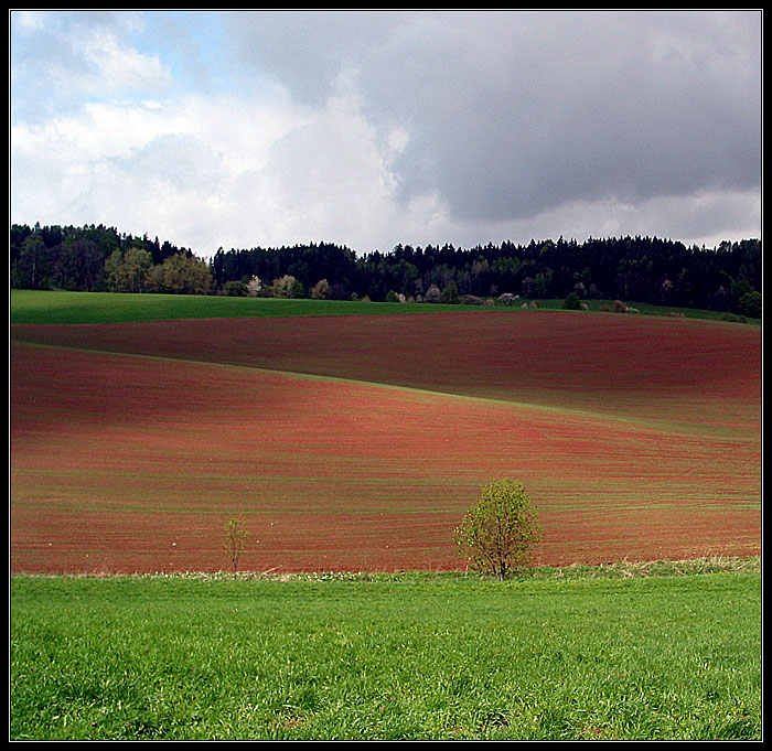 Červenozemě 5