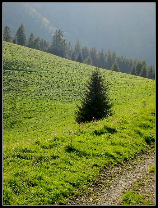 Vtáčnik