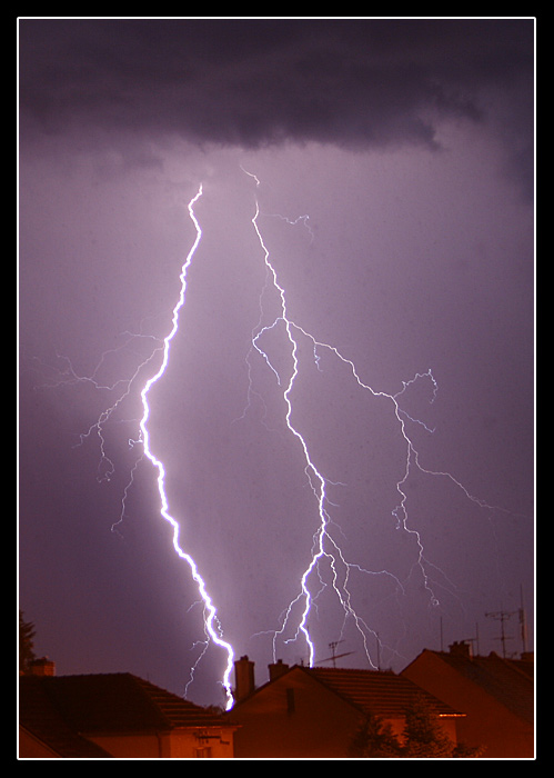Night show