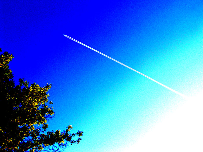 VeronikAirlines