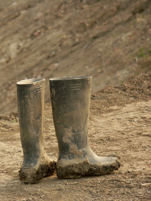 Rozpuštěný a vypuštěný?