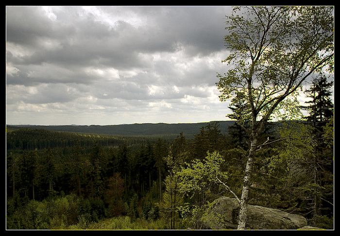 Devět skal