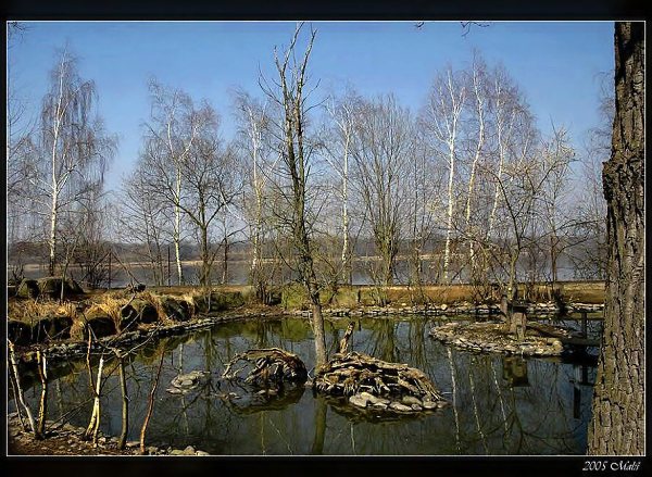 jezirko