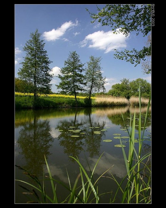 Rybářovo svět