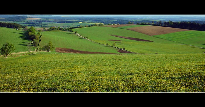 kopečky