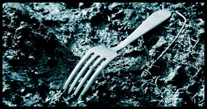 ..: <b> Fork </b> :..