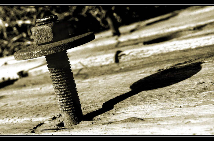 ..: <b> Screw </b> :..