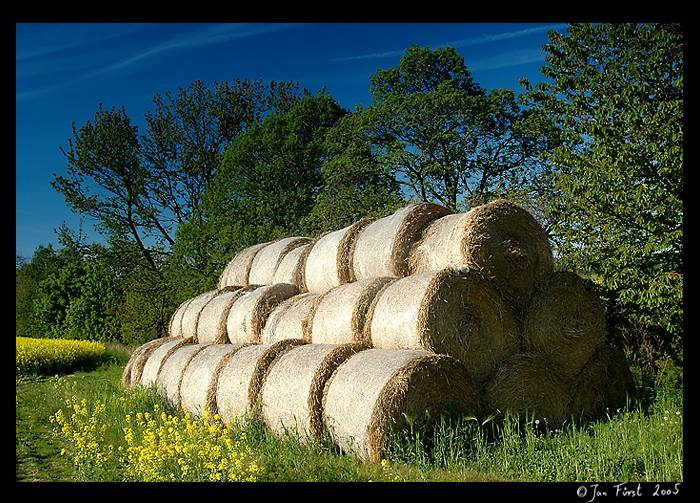 <font color=#00CC00>Jarní I<b><br>