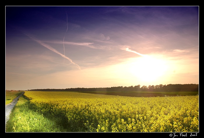 <b><font color=#6D2895>V podvečer I<br>