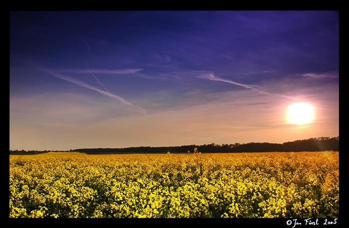 <b><font color=#6D2895>V podvečer II<br>