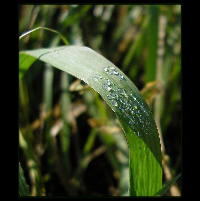 <b>...diamonds...</b><br>