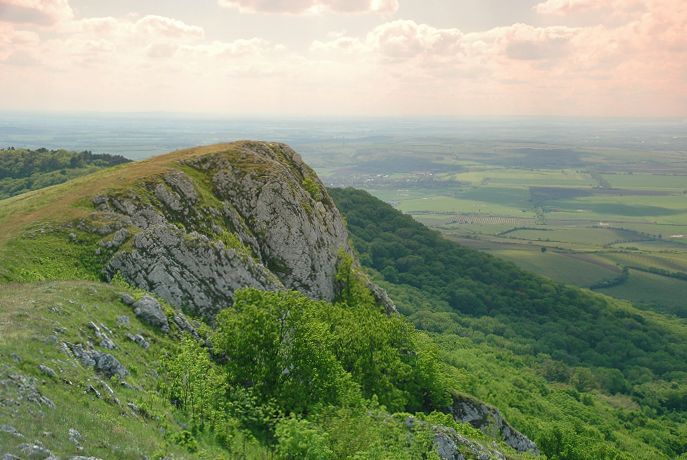 Pálava