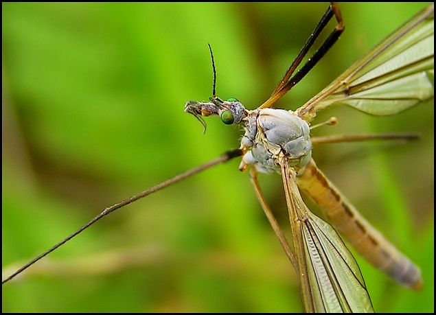 Jen se tak koukám...