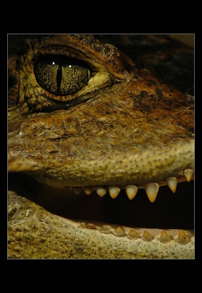 ..smile..