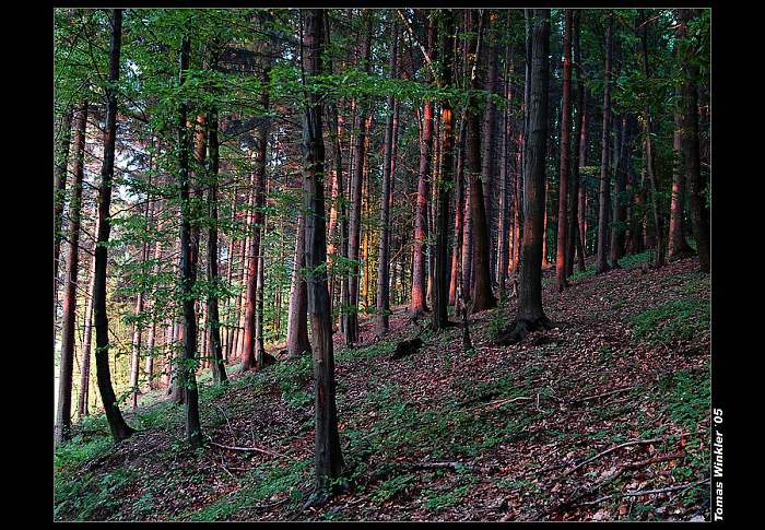 ..v podvečer..