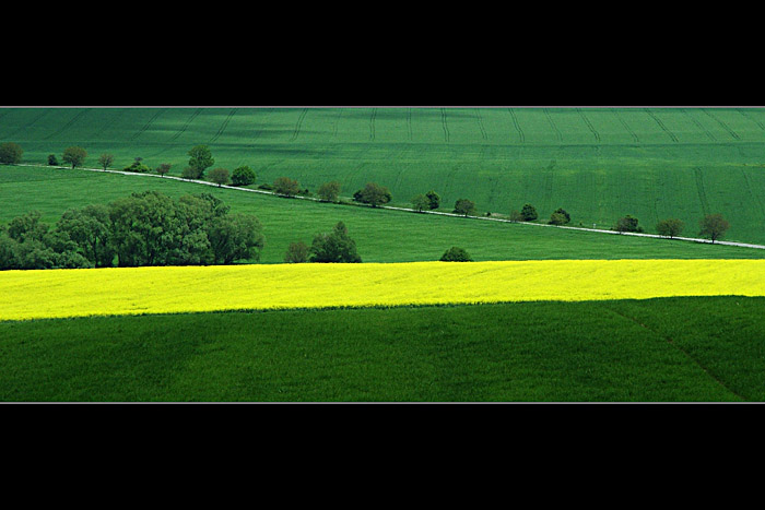 Spring Time