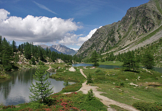 Lago Arpy