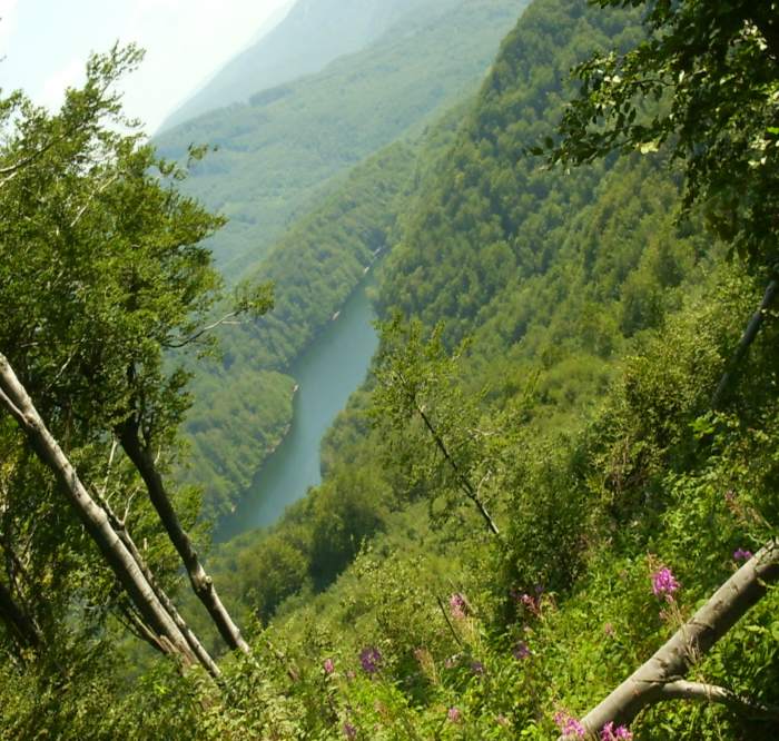 morske oko, snina