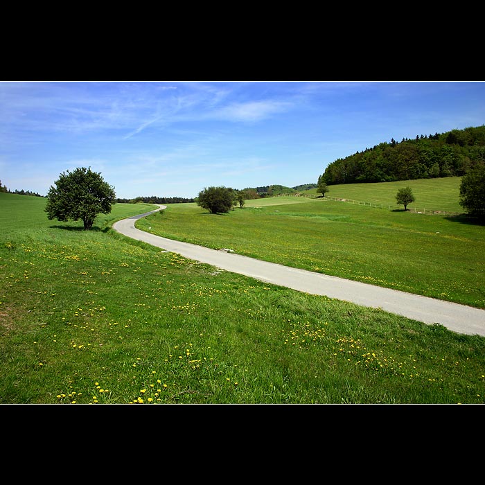 Asfaltový had