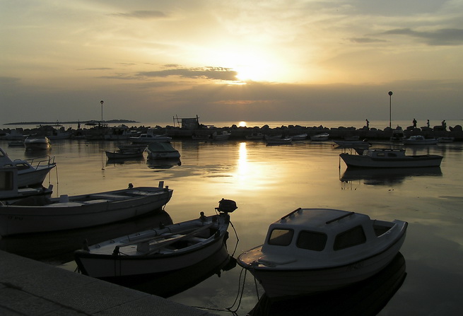 Fažána při západu...