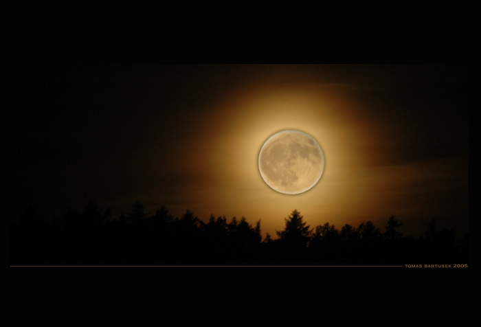 Moon Rise