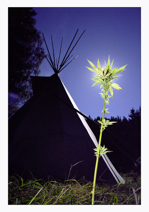 Tee - Pee