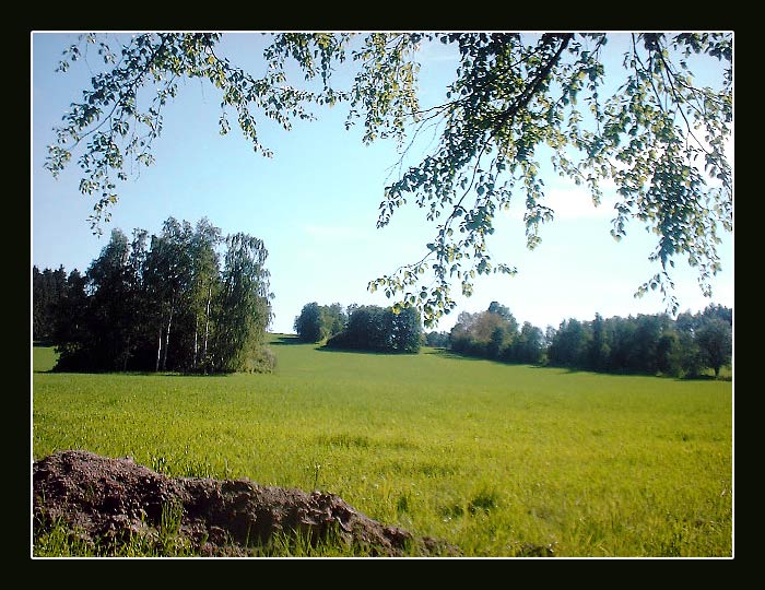 Buková 1