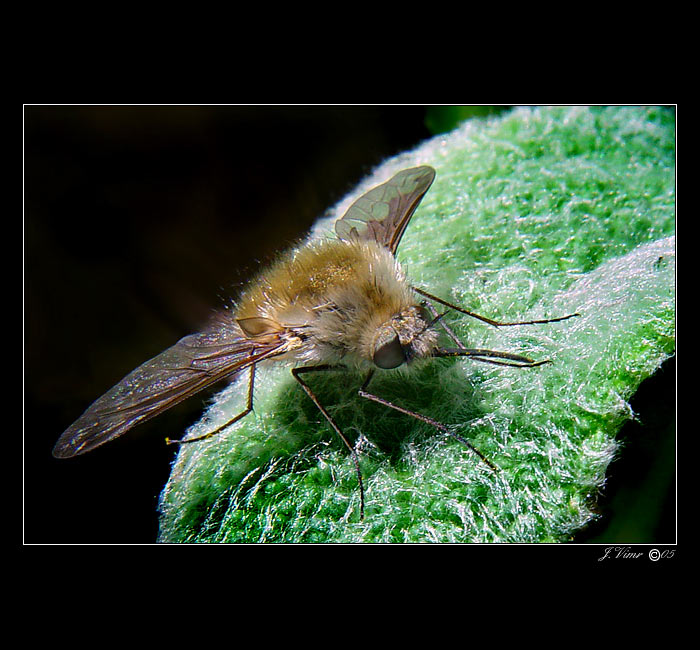 <b> - MEZIPŘISTÁNÍ - </b>