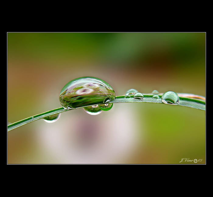 <b> - OTŘELÉ TÉMA - </b>