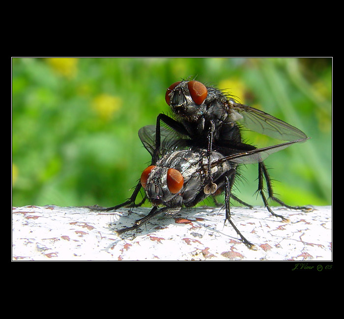 <b> - MÁJ LÁSKY ČAS - I. -</b> MÁMO NECH TOHO POMODLÍŠ SE AŽ POTOM ...
