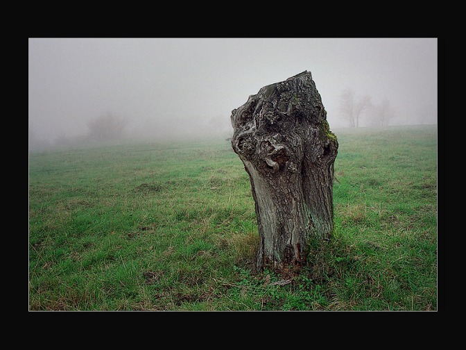 V lovisti psa Baskervilskeho ....